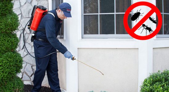Tavas Böcek ve Haşere İlaçlama böcek ilaçlama ve haşere kontrolü — ilaclama-tr.com